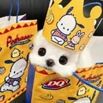 Andrea Delgado Avatar